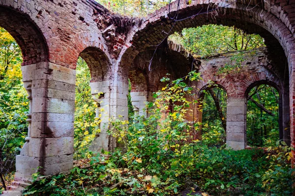 Old ancient abandoned red brick ruins overgrown by plants — Stock Photo, Image