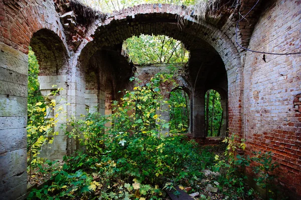Old Ancient Abandoned Red Brick Ruins Overgrown Plants — Stock Photo, Image