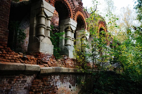 Old Ancient Abandoned Church Ruins Overgrown Plants — Stock Photo, Image