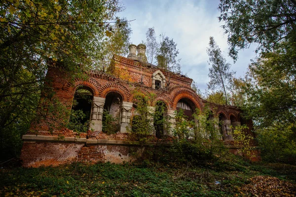 古老的废弃教堂废墟 植物繁茂 — 图库照片