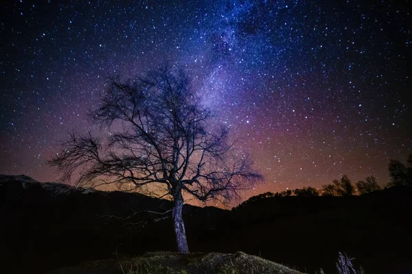 Cielo Nocturno Con Vía Láctea Árbol Solo Paisaje Montaña — Foto de Stock