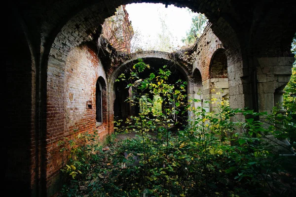 Anciennes Ruines Briques Rouges Abandonnées Envahies Par Les Plantes — Photo