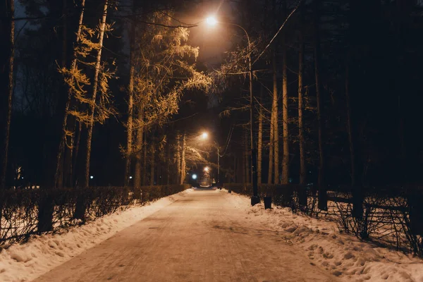 Téli Városi Park Éjjel Ködben — Stock Fotó