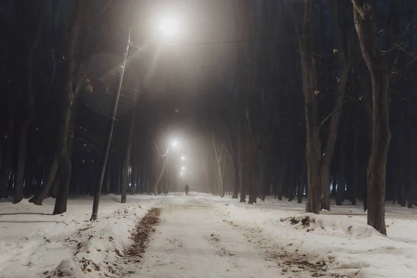 Winter Stadspark Nachts Mist — Stockfoto