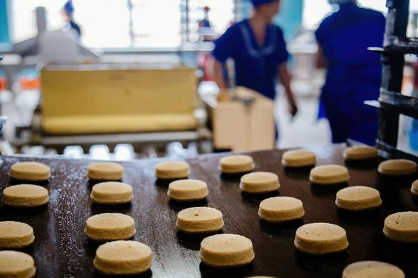 stock image Baking production line. Raw uncooked cookies after forming going to oven by conveyor.