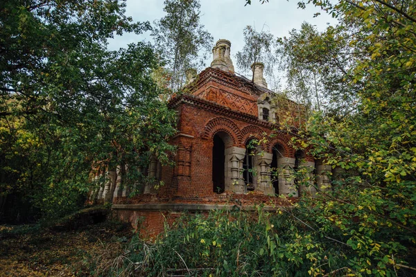 Eski terk edilmiş kilise kalıntıları bitkilerle kaplanmış..