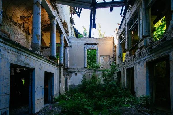 Interior Mansão Arruinado Coberto Por Plantas Natureza Arquitetura Abandonada Verde — Fotografia de Stock