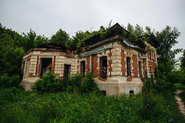 Overgrown Ruins Abandoned Mansion Former Baron Von Derviz Manor Ryazan — Stock Photo, Image