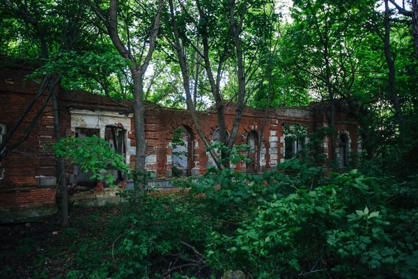 Overgrown Ruins Abandoned Mansion Former Baron Von Derviz Manor Ryazan — Stock Photo, Image