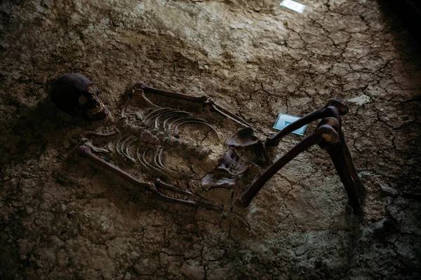 Old human skeleton in ancient tomb at archaeological excavation.