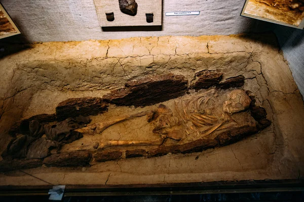 Altes Menschliches Skelett Altem Grab Bei Archäologischen Ausgrabungen — Stockfoto