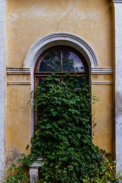 Velha Janela Coberta Mansão Abandonada — Fotografia de Stock