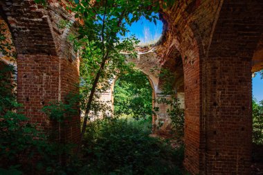 Eski terk edilmiş kırmızı tuğla kalıntıları bitkilerle kaplanmış..