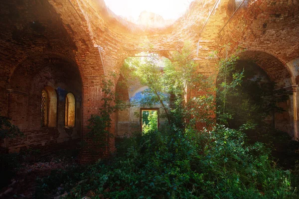 Anciennes Ruines Briques Rouges Abandonnées Envahies Par Les Plantes — Photo