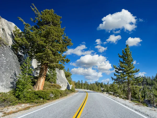 Belle route aux États-Unis Parc national Yosemite road trip Images De Stock Libres De Droits