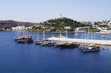Tekne Bodrum Marina