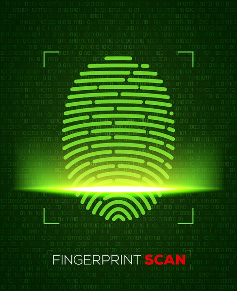 Идентификация сканирования отпечатков пальцев
 