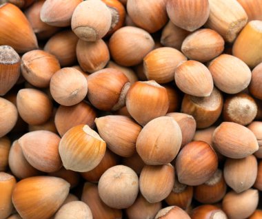 Bir kase dolusu fındık, makro.