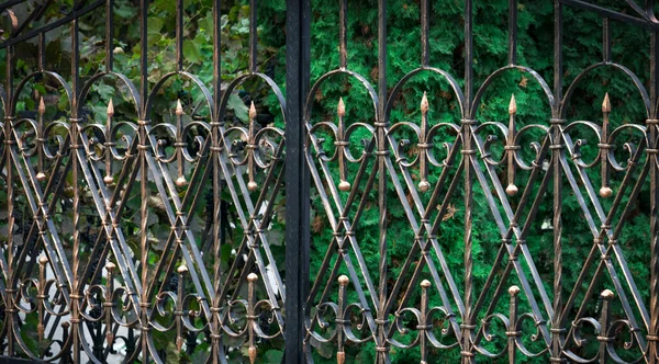 Vrata Surového Železa Ozdobné Kování Kované Prvky Zblízka — Stock fotografie