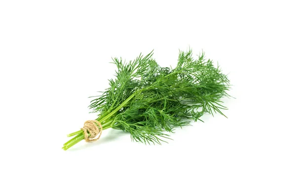 Bunch Fresh Green Dill Isolated White Background — Stock Photo, Image