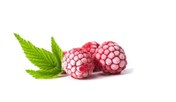 Frozen Raspberries White Background — Stock Photo, Image