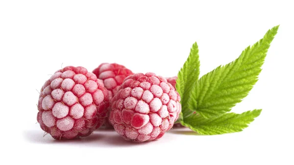 Frozen Raspberries White Background — Stock Photo, Image