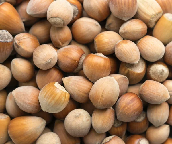 Bir kase dolusu fındık, makro.