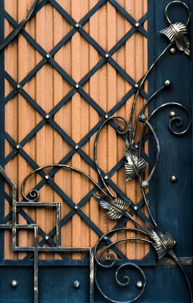 美しい装飾鍛造金属ドア — ストック写真