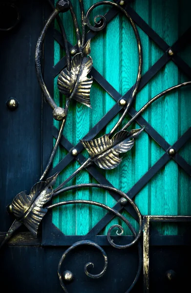 漂亮的装饰锻造金属门 — 图库照片