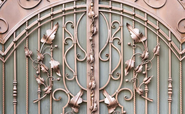 Hermosas Hojas Forjadas Una Puerta Metal — Foto de Stock