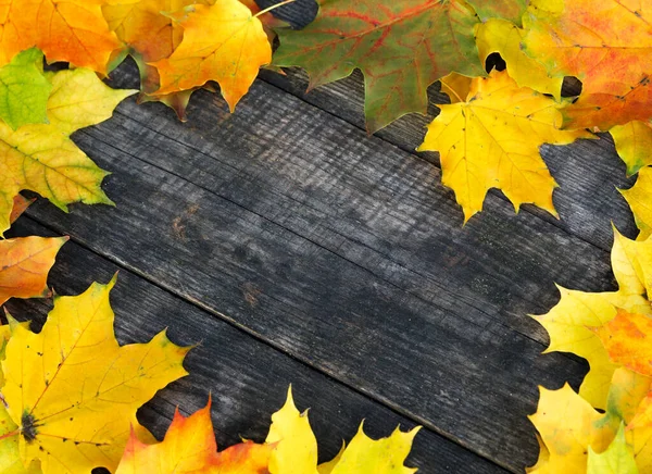 Sfondo Colorato Luminoso Cerchio Foglie Autunnali Uno Sfondo Legno Grigio — Foto Stock