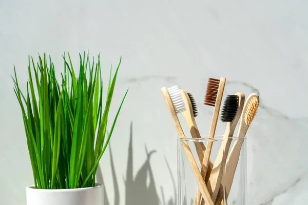 Bamboe Tandenborstels Een Glas Met Kopieerruimte Een Grijze Achtergrond — Stockfoto