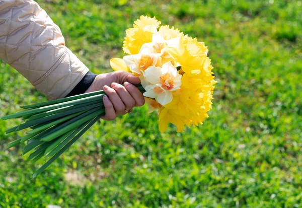 Ramo Narcisos Mano Una Mujer —  Fotos de Stock