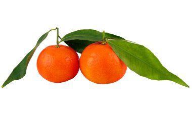 mandalina yaprakları ile