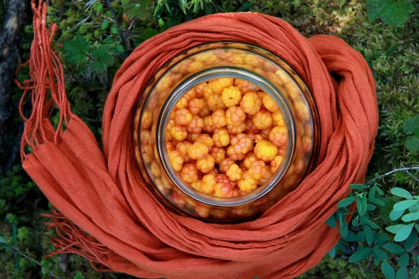 Rubus chamaemorus, Imagen De Stock