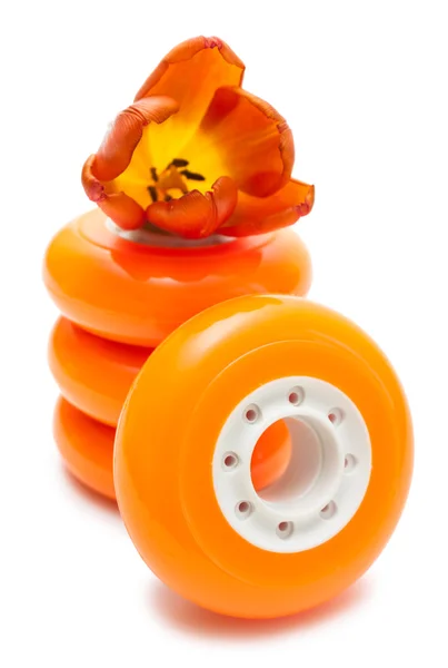 Оранжевые колеса и тюльпан — стоковое фото