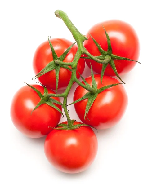 Saftige Tomaten auf weiß lizenzfreie Stockbilder