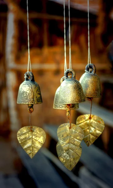 Golden little bells — Stock Photo, Image