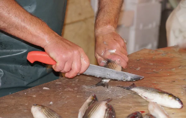 Chef limpiando pescado fresco — Foto de Stock