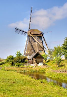 Hollanda'da geleneksel yel değirmeni