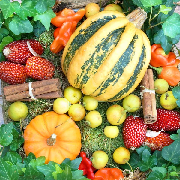 Pumpkins and autumn fruits — Stock Photo, Image