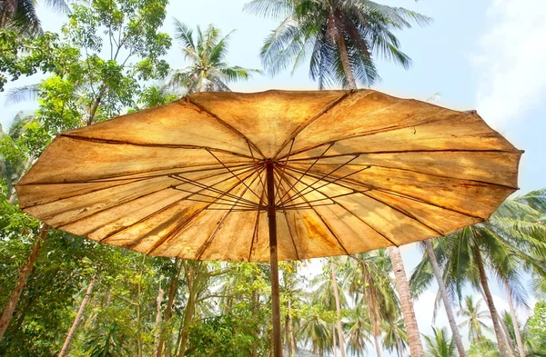 Velho asiático guarda-chuva — Fotografia de Stock