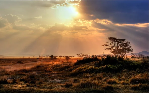 Wunderschöner Sonnenuntergang mit Sonnenstrahlen in der Savanne in Afrika — Stockfoto