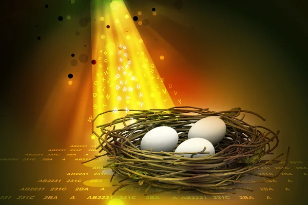 Eieren in een nest wordt beschermd. — Stockfoto