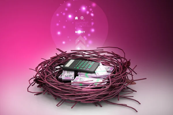 Dinheiro e calculadora protegidos no ninho — Fotografia de Stock