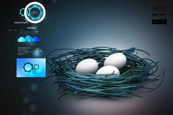 Eier werden in einem Nest geschützt. — Stockfoto