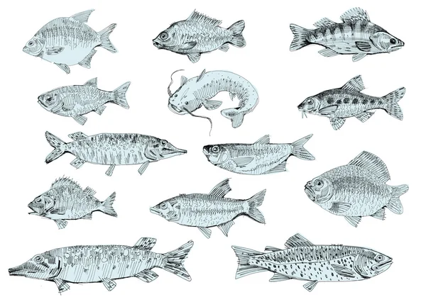 Ensemble de poissons de rivière — Image vectorielle