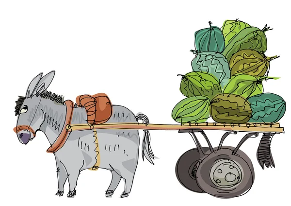 Animal burro - desenho animado — Vetor de Stock