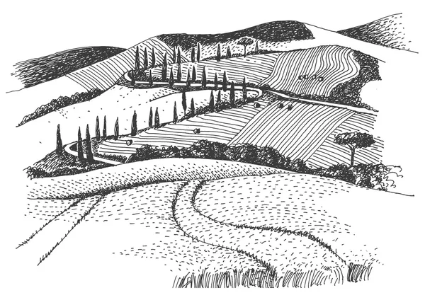 Weinberg Landschaft Tuschebild — Stockvektor