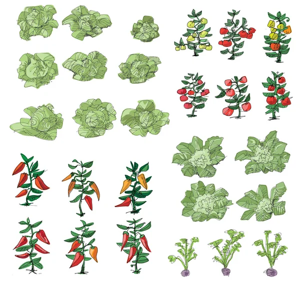 Cucina-giardino - illustrazione cartone animato — Vettoriale Stock